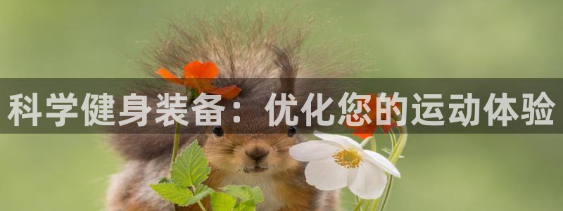 球速体育QsTY官网下载招商电话是多少：科学健身装备