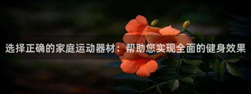 ,球速官方平台体育：选择正确的家庭运动器材：帮助您实