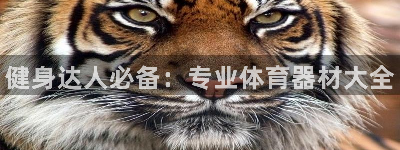 注册球速体育QsTY官方正版app：健身达人必备：专业体育器