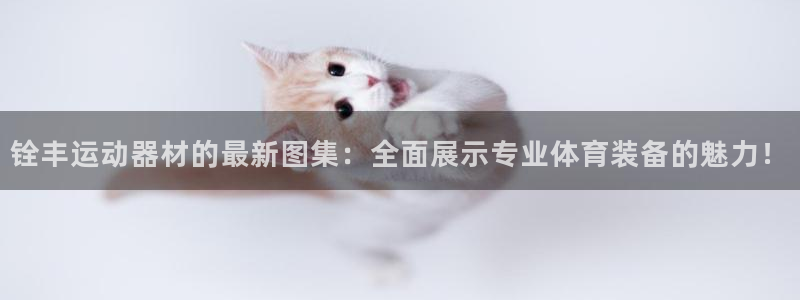 球速体育QsTY官网下载招商电话是多少啊：铨丰运动器材的最新