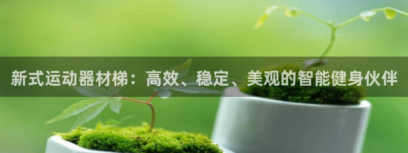 球速体育QsTY官网下载招商：新式运动器材梯：高效、稳定、美