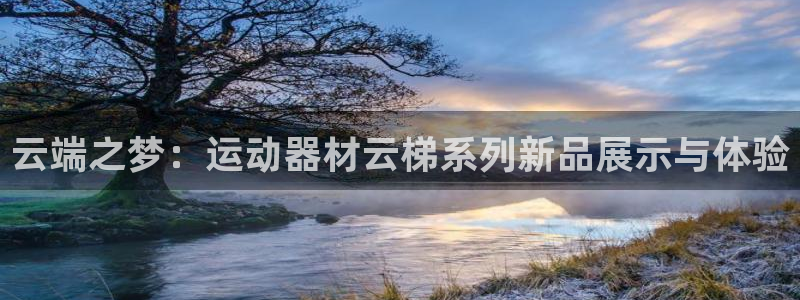 球速体育QsTY官网下载联系电话：云端之梦：运动器材云梯系列