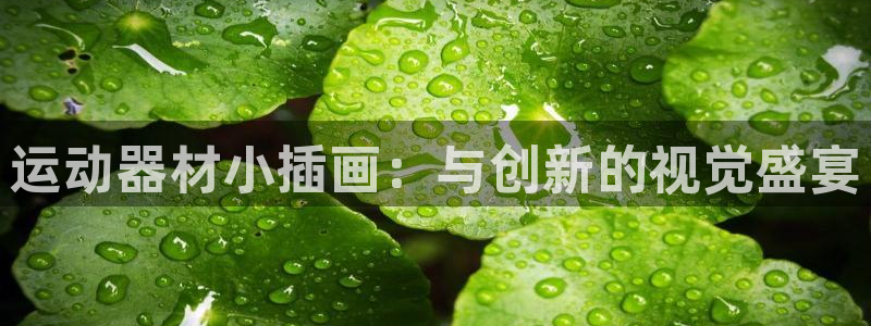 球速体育QsTY官网下载招商电话号码是多少号：运动器材小插画