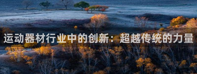 球速体育QsTY官方正版app集团官网网址：运动器材行业中的