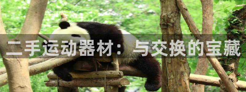 球速体育QsTY官方正版app娱乐40996